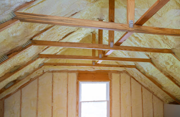 Best Insulation Maintenance and Repair in Laurens, IA