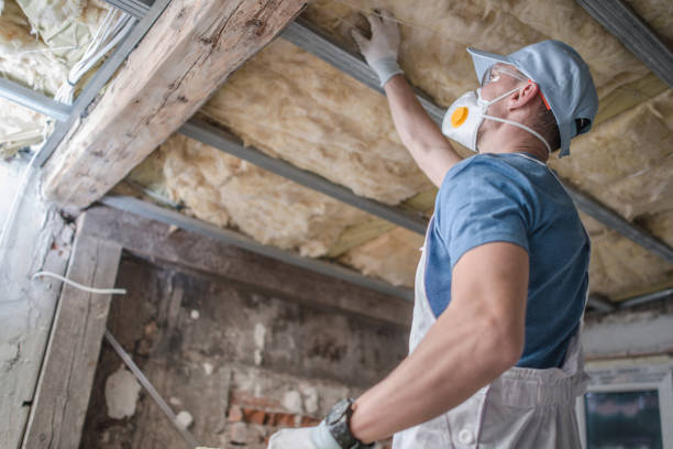 Best Types of Insulation in Laurens, IA