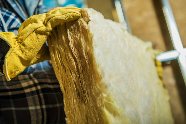 Best Residential Insulation in Laurens, IA